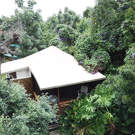 Mali Boutique Lodge & Tube 'N Axe Budget Accommodation สตอร์มริเวอร์ ห้อง รูปภาพ