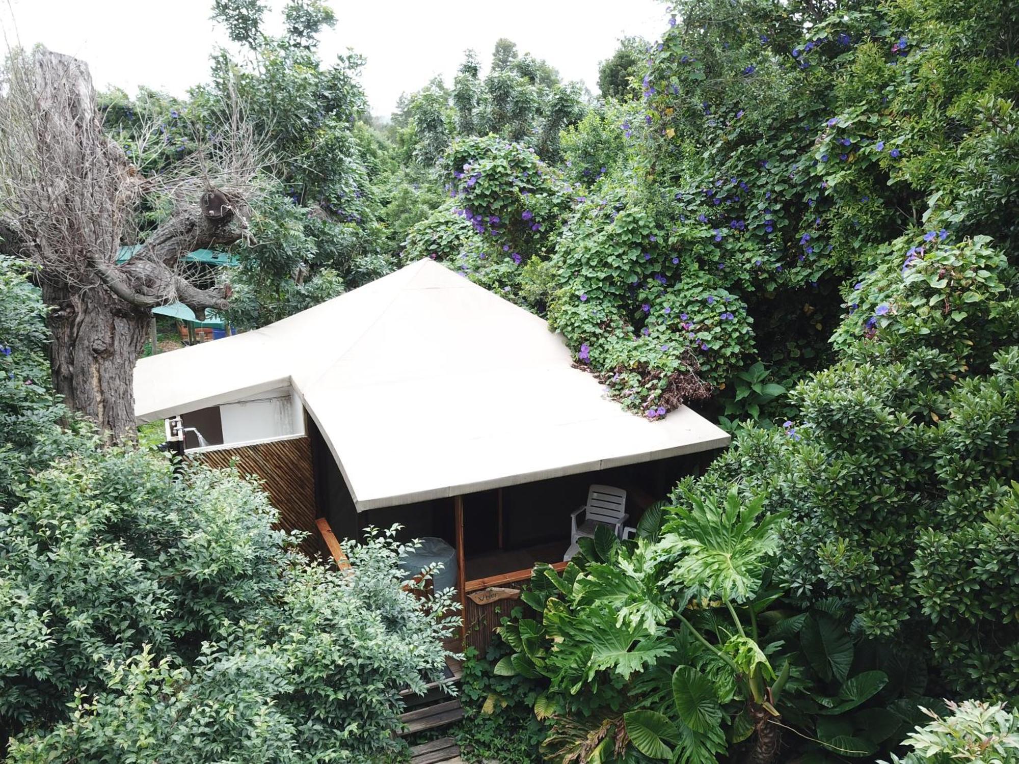 Mali Boutique Lodge & Tube 'N Axe Budget Accommodation สตอร์มริเวอร์ ห้อง รูปภาพ