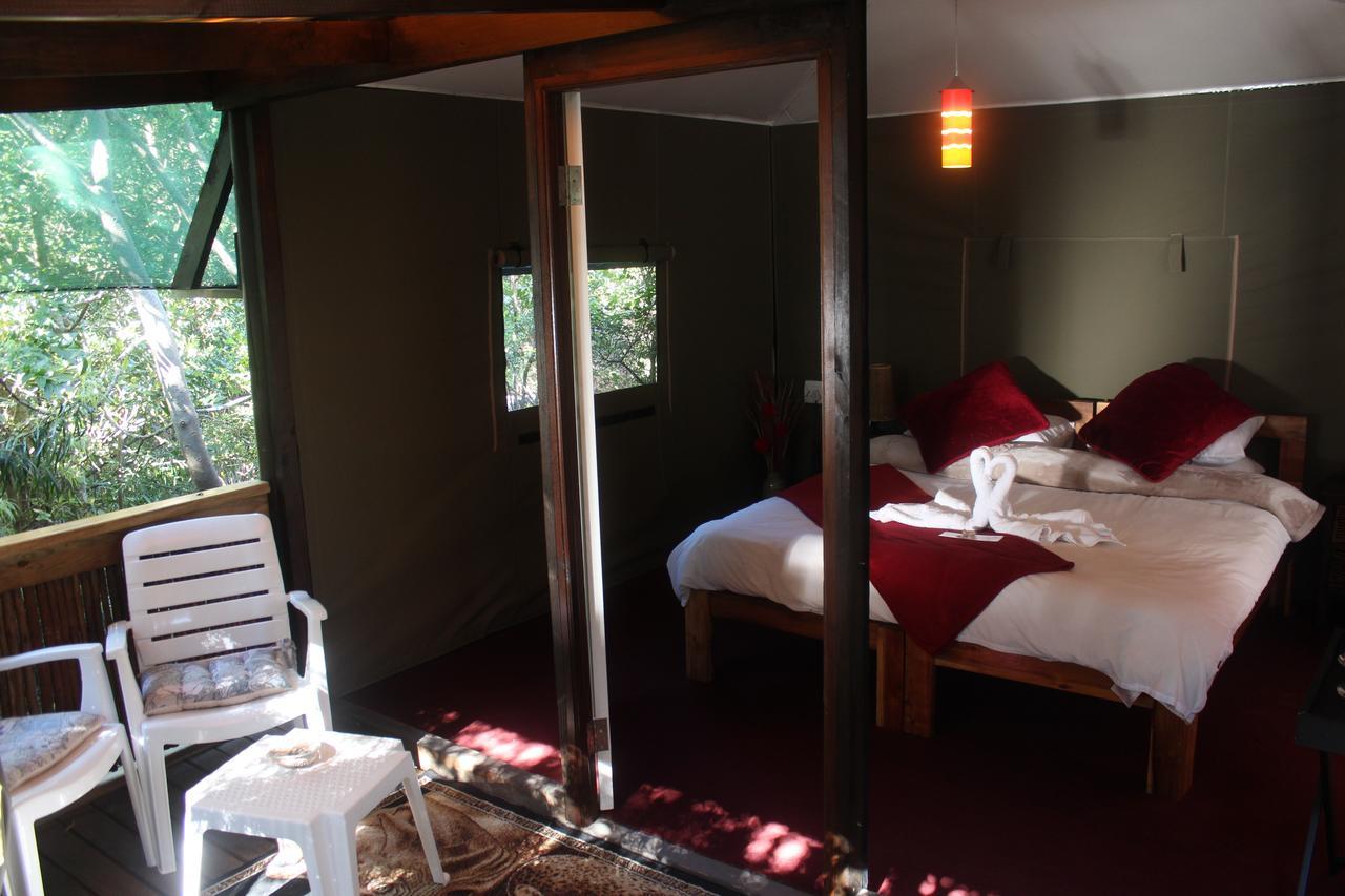 Mali Boutique Lodge & Tube 'N Axe Budget Accommodation สตอร์มริเวอร์ ภายนอก รูปภาพ
