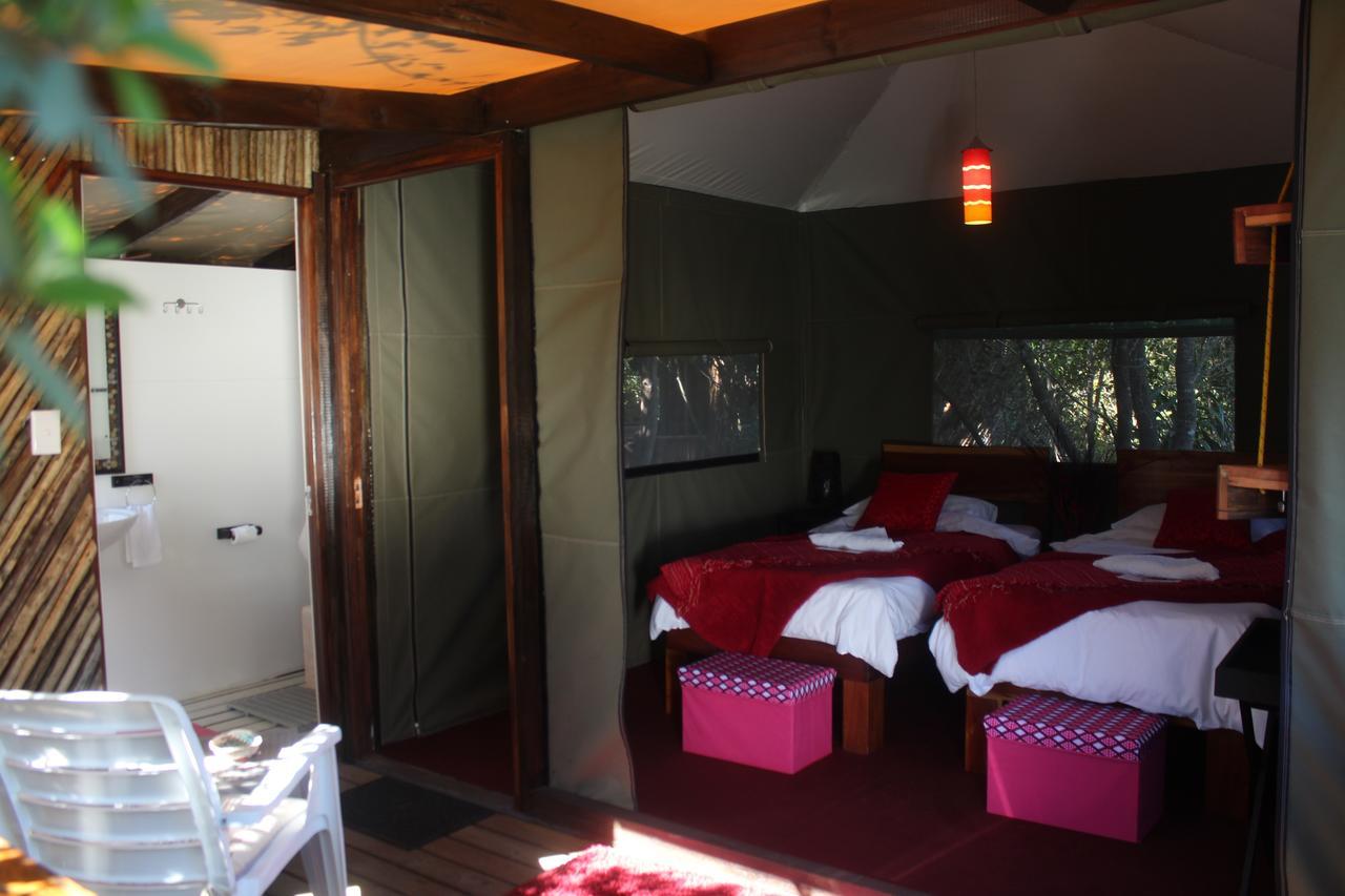 Mali Boutique Lodge & Tube 'N Axe Budget Accommodation สตอร์มริเวอร์ ภายนอก รูปภาพ