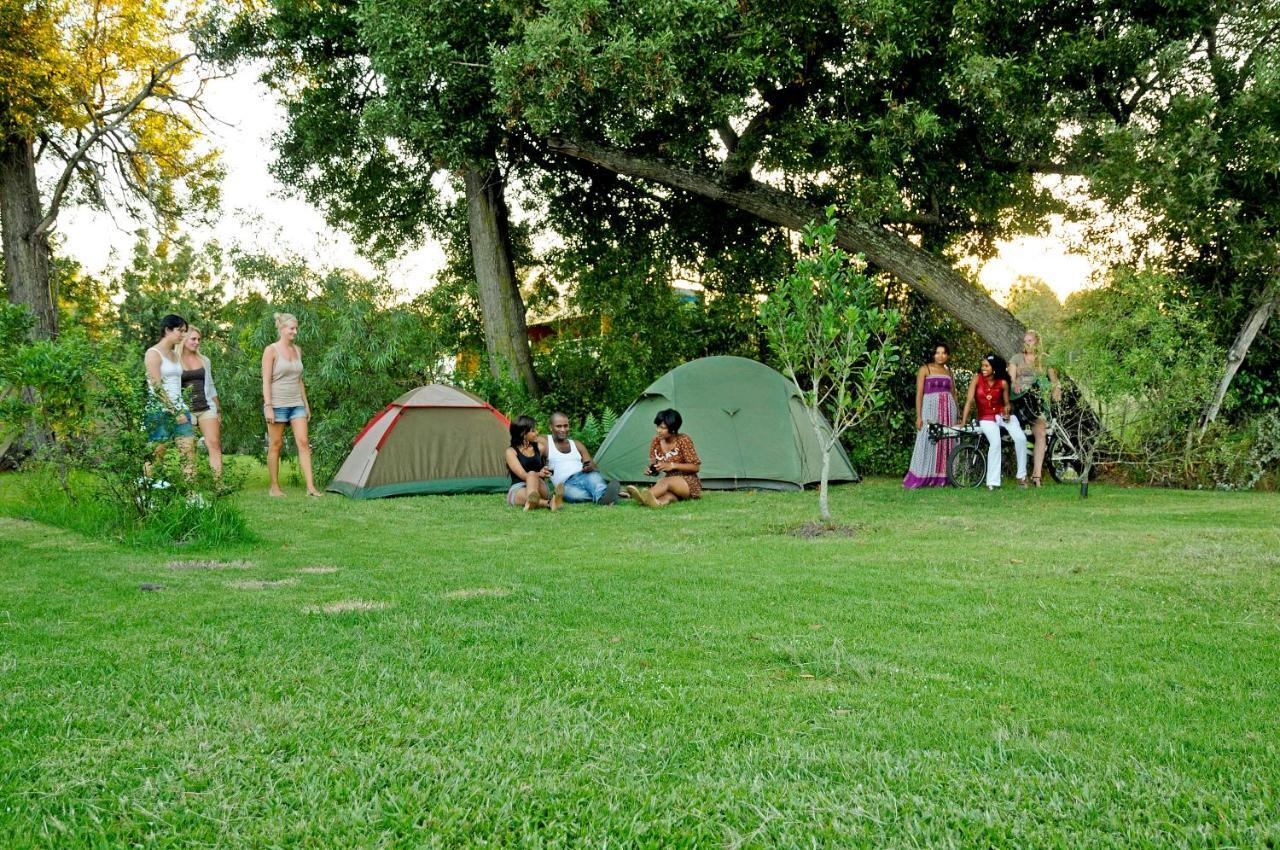 Mali Boutique Lodge & Tube 'N Axe Budget Accommodation สตอร์มริเวอร์ ภายนอก รูปภาพ