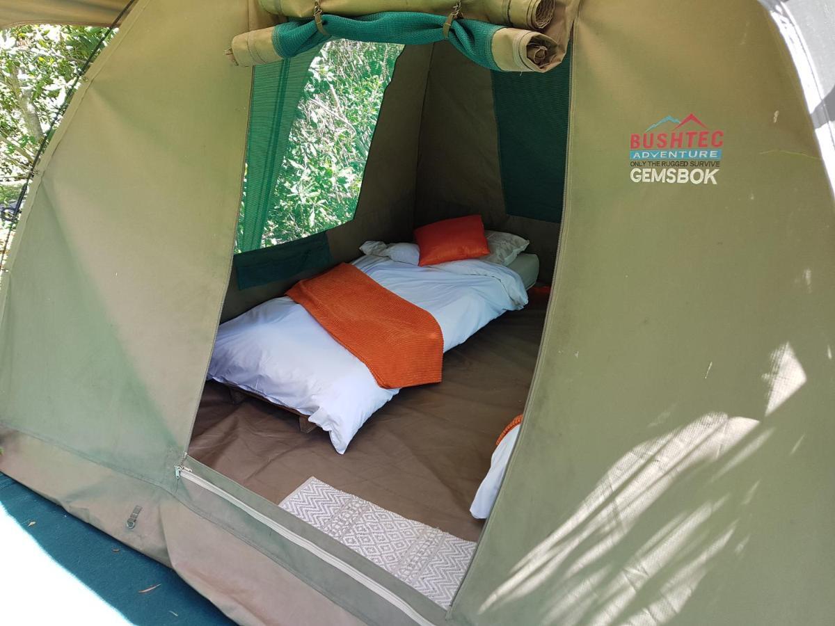 Mali Boutique Lodge & Tube 'N Axe Budget Accommodation สตอร์มริเวอร์ ภายนอก รูปภาพ